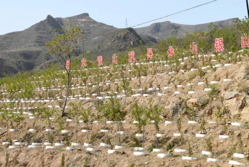 起重滑車(chē)助力邢臺(tái)縣太子井鄉(xiāng)廢棄礦山轉(zhuǎn)型升級(jí)